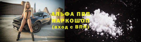 хмурый Арсеньев