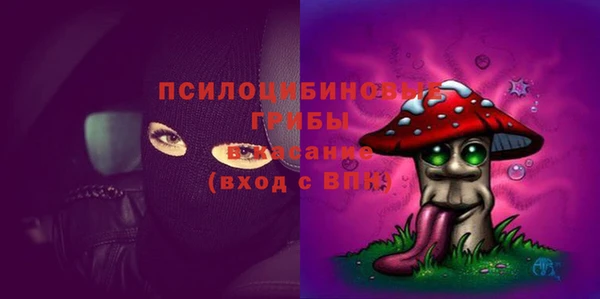 хмурый Арсеньев