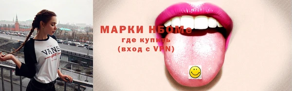 хмурый Арсеньев