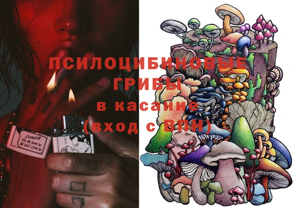 хмурый Арсеньев