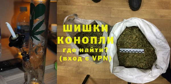 хмурый Арсеньев