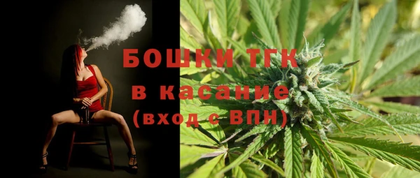 сатива Армянск