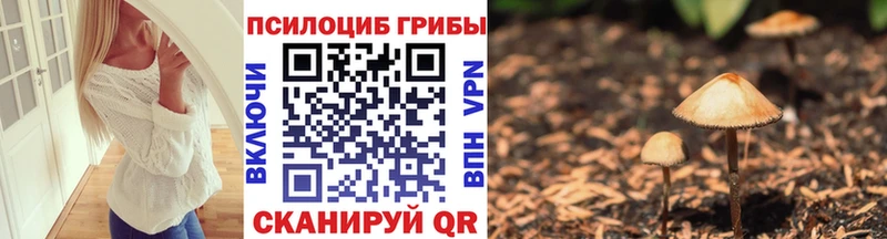 где купить   Райчихинск  Галлюциногенные грибы прущие грибы 
