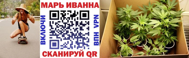 Канабис семена  магазин  наркотиков  Райчихинск 